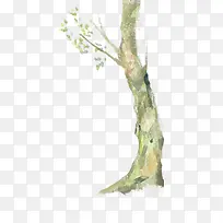 ˮ����֦�廭����-������