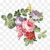 手绘水彩花卉插画-空若网 手绘水彩花卉插画-空若网