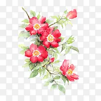 ˮ���ֻ滨�ܲ廭-������