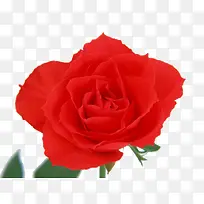 õ�����-������