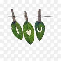 创意绿叶图片-空若网 创意绿叶图片-空若网