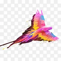 彩色凤凰-空若网 彩色凤凰-空若网