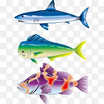 色彩丰富的海鱼矢量素材-空若网 色彩丰富的海鱼矢量素材-空若网