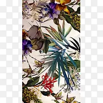 �ֻ�廭Ũīɫ��-������