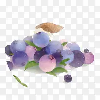 水彩水果-空若网 水彩水果-空若网