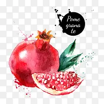 卡通水彩水果-空若网 卡通水彩水果-空若网