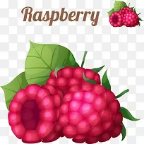 ʸ����ͨ��ݮ-������