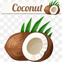 矢量卡通椰子-空若网 矢量卡通椰子-空若网