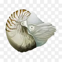 ��ͨ�ֻ溣��-������