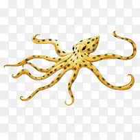 ��ͨ�ֻ濨ͨ����廭-������