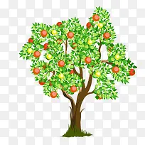 水果树木-空若网 水果树木-空若网