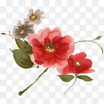 ˮ�ʻ�-������