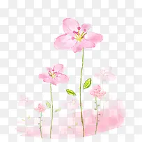 红色花卉手绘合成摄影-空若网 红色花卉手绘合成摄影-空若网