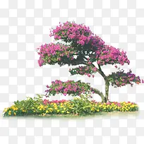 创意高清摄影红色黄色花卉-空若网 创意高清摄影红色黄色花卉-空若网