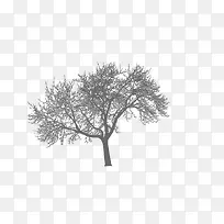 ����Ӱ-������