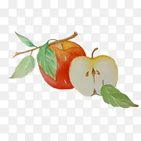 �ֻ�ƻ��-������