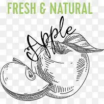 ƻ���ֻ�PNGʸ���ز�-������