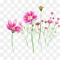 Ë®²Ê»»¨»Ü¿¨Æ¬Éè¼Æ-¿ÕÈôÍø Ë®²Ê»»¨»Ü¿¨Æ¬Éè¼Æ-¿ÕÈôÍø