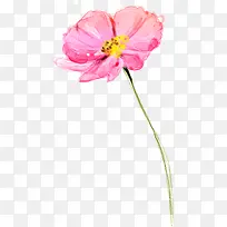 �ֻ滨��ˮ�ʻ��ز�-������