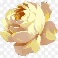 黄色水彩花卉图片-空若网 黄色水彩花卉图片-空若网