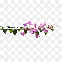 花枝花草水彩花卉-空若网 花枝花草水彩花卉-空若网