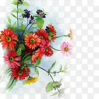 水彩鲜花-空若网 水彩鲜花-空若网