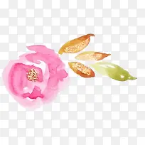 水彩花-空若网 水彩花-空若网