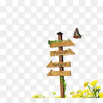 ·�����ָʾ��-������