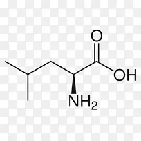 ��ʳ�������������֧���������䷽-������