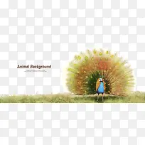 手绘孔雀开屏-空若网 手绘孔雀开屏-空若网