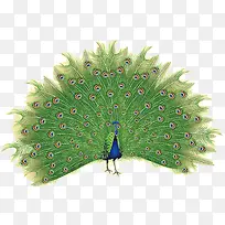 ��ȸ�����ز�-������