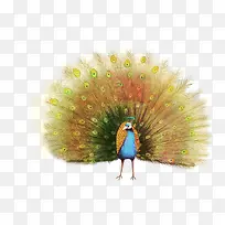 �ֻ��ɫ��ȸ����-������