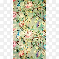 手绘插画绿色孔雀-空若网 手绘插画绿色孔雀-空若网