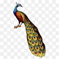 �ֻ��ȸ-������