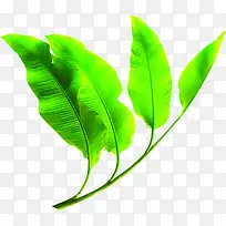 卡通可爱绿色树叶-空若网 卡通可爱绿色树叶-空若网