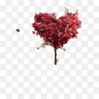 爱心-空若网 爱心-空若网