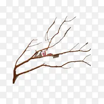 ��Լ��֦�Ҿ����-������