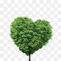 树-空若网 树-空若网