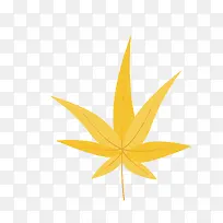手绘黄色树叶-空若网 手绘黄色树叶-空若网