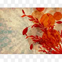 ���Ż��Ʊ���-������