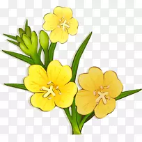 花卉设计剪贴画花-空若网 花卉设计剪贴画花-空若网