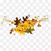 菊花黄画家-秋-空若网 菊花黄画家-秋-空若网