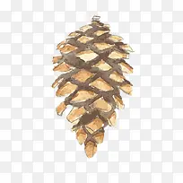 卡通手绘松子-空若网 卡通手绘松子-空若网