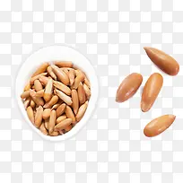 巴西松子装饰素材免抠素材-空若网 巴西松子装饰素材免抠素材-空若网