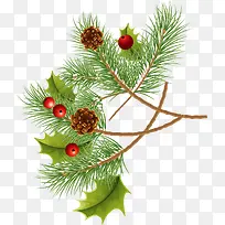 松子山楂树图案-空若网 松子山楂树图案-空若网