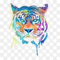 水彩老虎-空若网 水彩老虎-空若网