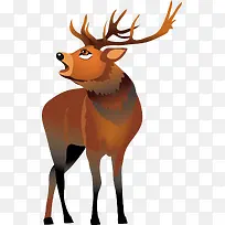 卡通动物-空若网 卡通动物-空若网