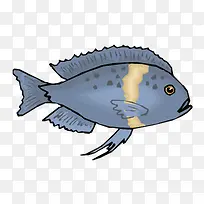 ʸÁ¿ÉîÉ«¹ÛÉÍÓãËØ²Ä-¿ÕÈôÍø ʸÁ¿ÉîÉ«¹ÛÉÍÓãËØ²Ä-¿ÕÈôÍø