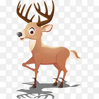 可爱的小鹿-空若网 可爱的小鹿-空若网