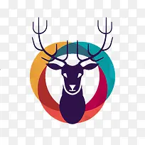 动物-空若网 动物-空若网